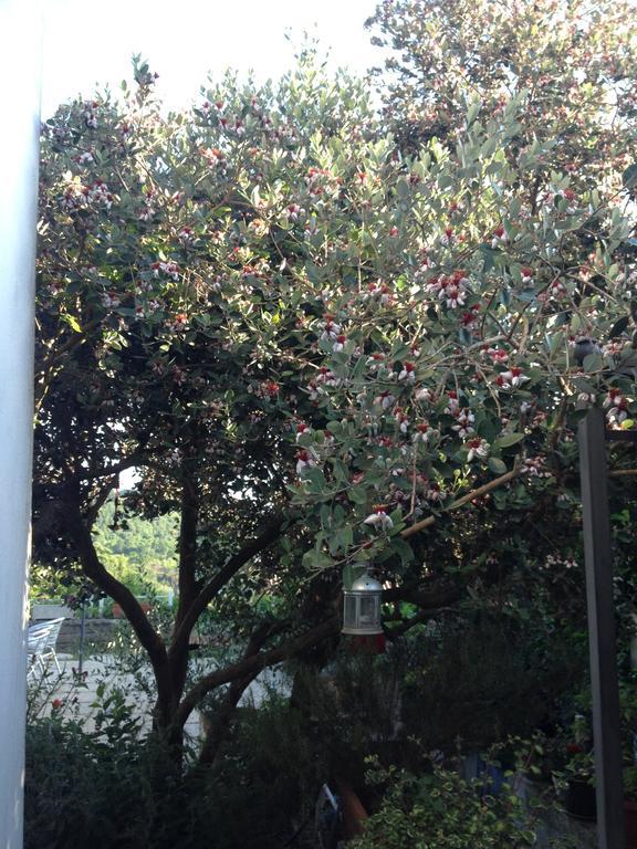 Il Cenacolo Di Sissi Apartamento Campagnano Di Roma Exterior foto